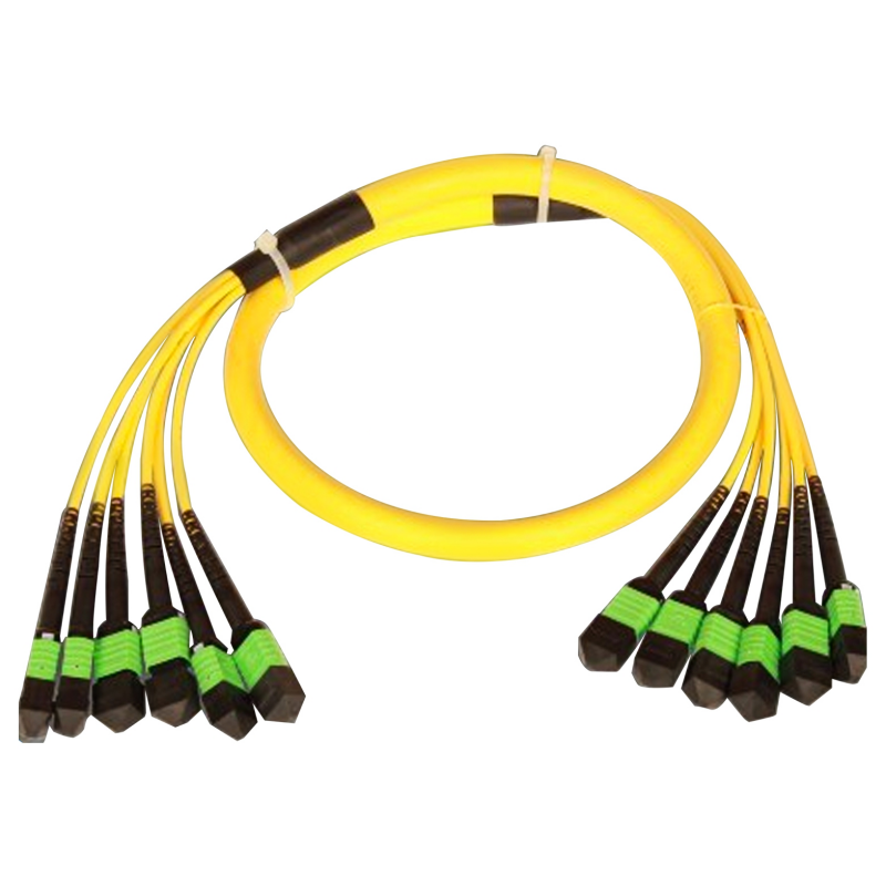 Trunk MPO patch cord