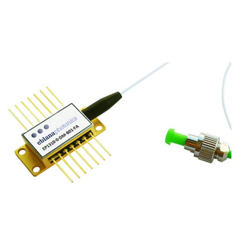 1310nm Discrete Mode (DM)