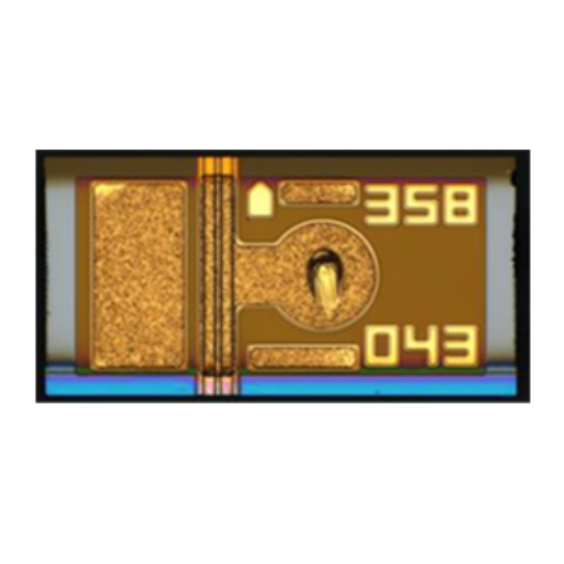 25G CWDM (1271~1371nm) DFB Chip